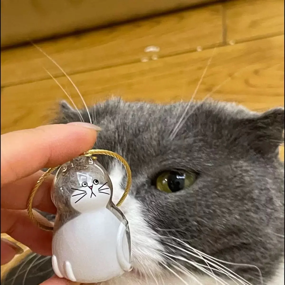 😻💕Cat Hair Collector Keychain Charm - Memorial Storage Box - Image 5
