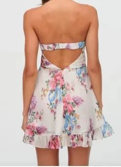 Sexy Bandeau Printed Mesh Backless Dress - Image 4